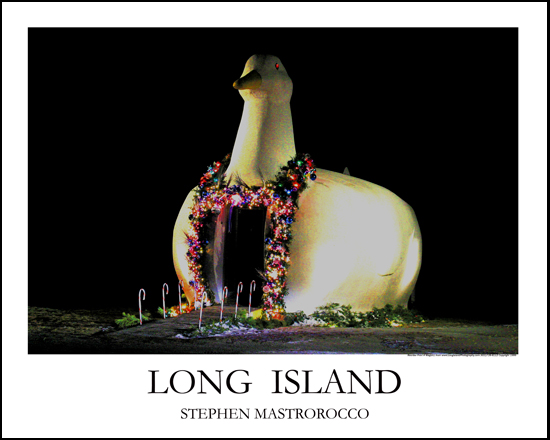 Long Island Duck Print# 2011
