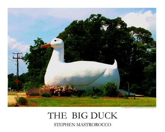 The Big Duck Print# 3081