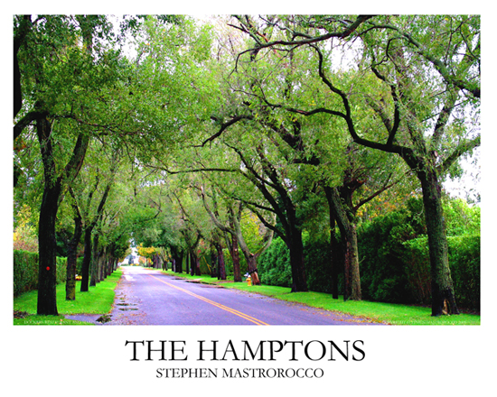 Tree Lined Hamptons Road Print# 3501