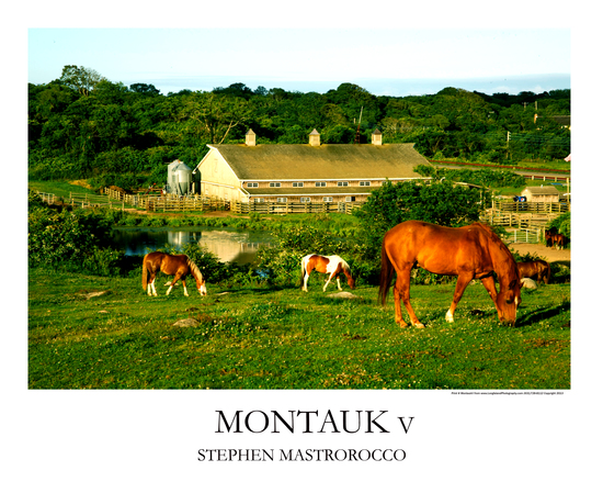 Montauk Ranch Print# 4031