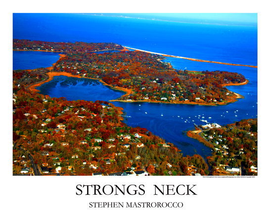 Strongs Neck 1 Print# 6493