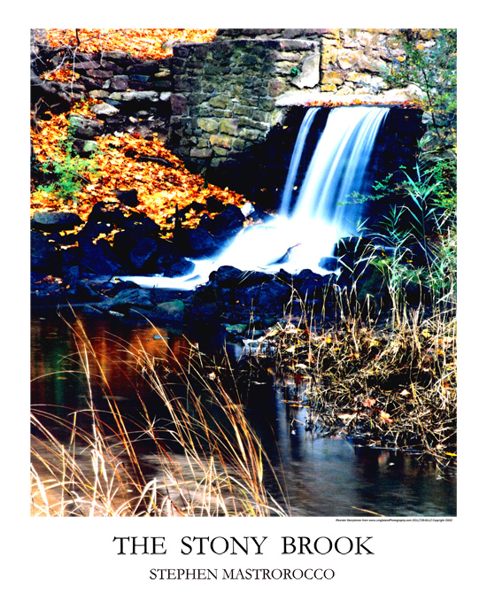 The Stony Brook Print# 6504