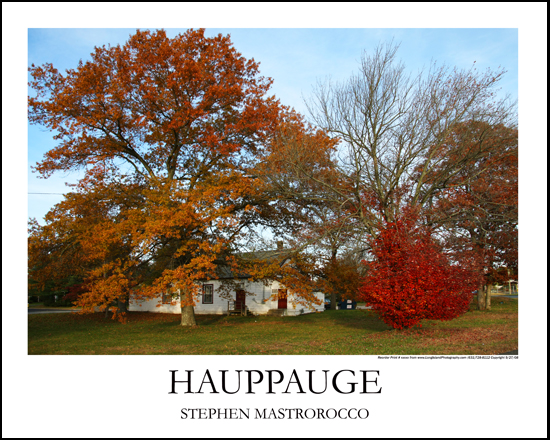 Hauppauge Village Hall Autmn Print# 6509