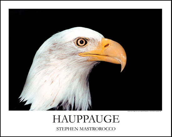 Hauppauge Eagles Print# 6510