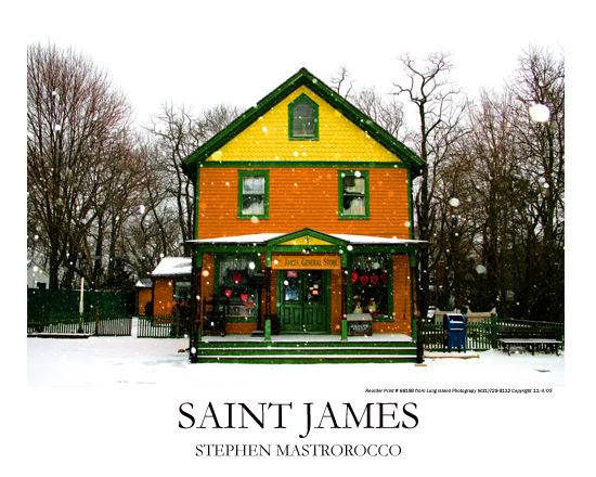 Saint James General Store Winter Print# 6618