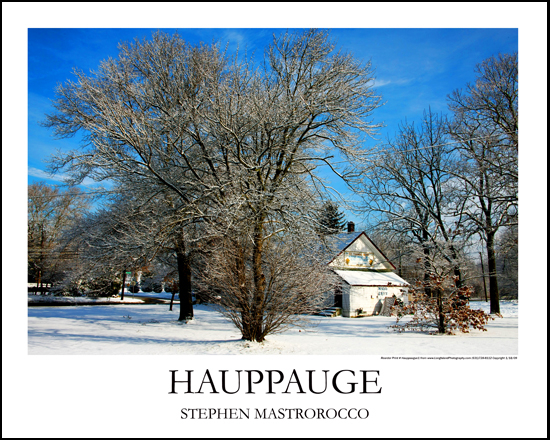 Hauppague Village Hall Winter Print# 6632