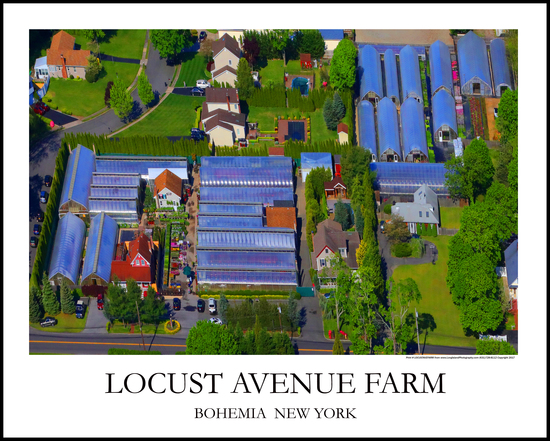 Locust Ave Farm Bohemia Print# 6679a