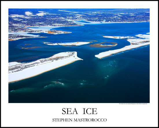 Sea Ice Print# 6702b