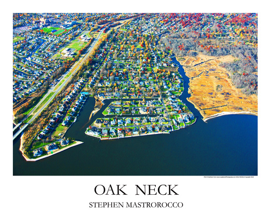 Oak Neck Print# 7004