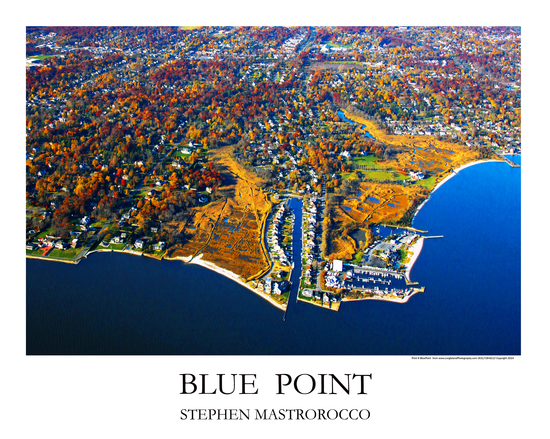 Blue Point Print# 7174