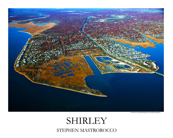 Shirley Print# 7176