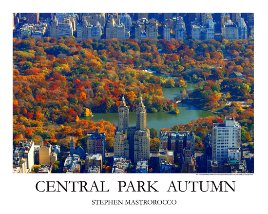 Central Park Autumn Print# 7914