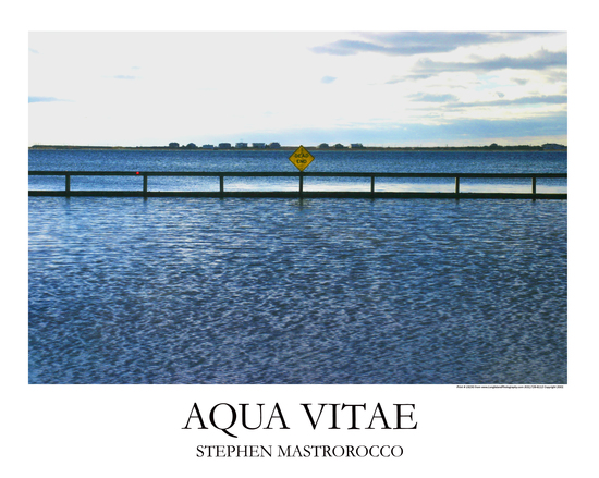 Aqua Vitae Print# 9241