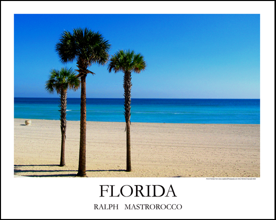Florida 1 Print# 9301