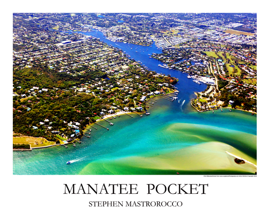 Manatee Pocket Print# 9316