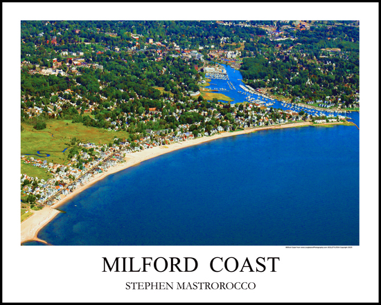 Milford Coast Print# 4413