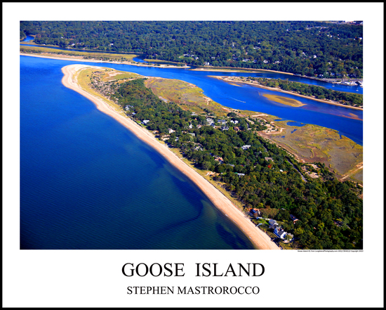 Goose Island 1 Print# 6631c