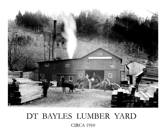 DT Bayles Lumber Yard Print# 7011